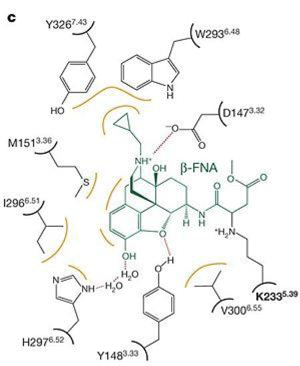 acst-aid1004-g001