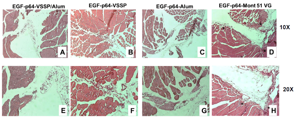 acst-aid1029-g001