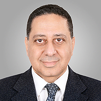 Ahmed Abdel Khalek Abdel Razek